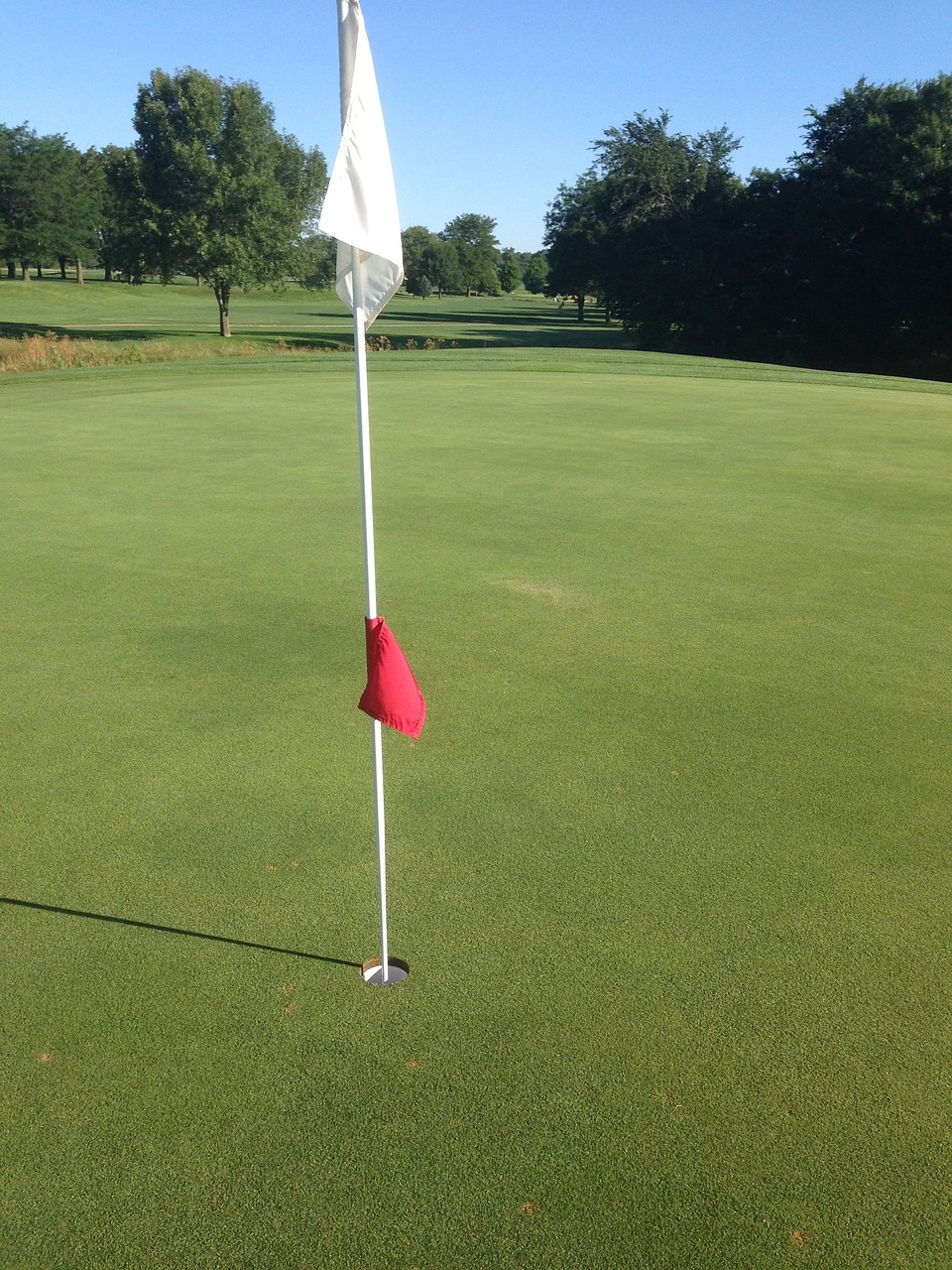 What is a holeinone in golf Thegolfhangout